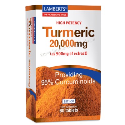 Lamberts Turmeric Curcuma 60 Tabs