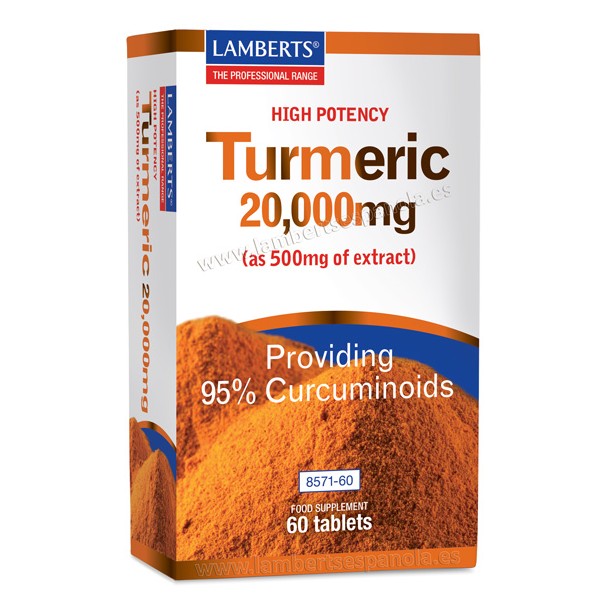 Lamberts Turmeric Curcuma 60 Tabs