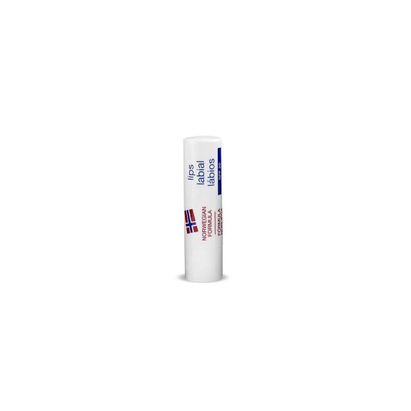 Neutrogena labial protect spf20 48 g