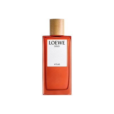 LOEWE SOLO ATLAS EP 100 VAP M -D