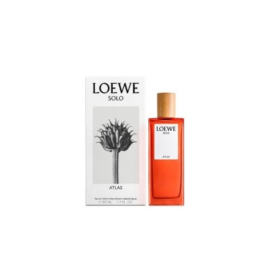 LOEWE SOLO ATLAS EP 100 VAP M -D