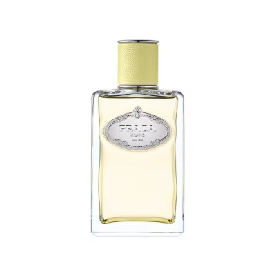 Prada infusion gingembre epv 100ml