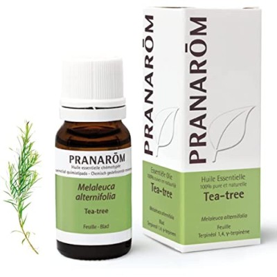 Pranarôm aceite esencial árbol te 10ml