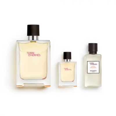 HERMES TERRE D'HERMES EAU DE TOILETTE 100ML VAPORIZADOR + REGALO 1U,