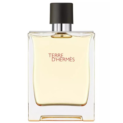 Terre D'hermes Eau De Toilette Spray 200ml