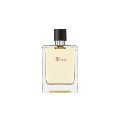 Terre D'hermes Eau De Toilette Spray 100ml